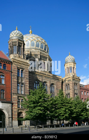 Deutschland, Berlin, Kuppel der neuen Synagoge, Dôme de la nouvelle synagogue de Berlin, Allemagne Banque D'Images