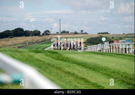 Course de chevaux sur la colline vers le poste de finition Courses Brighton Mesdames Jour Banque D'Images