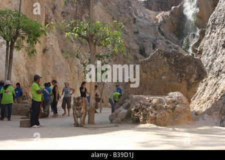 Tiger temple, Kanchanaburi, Thaïlande Banque D'Images