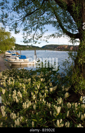 Kristiansand Scène de rivière bateaux amarrés à arbres througth Banque D'Images