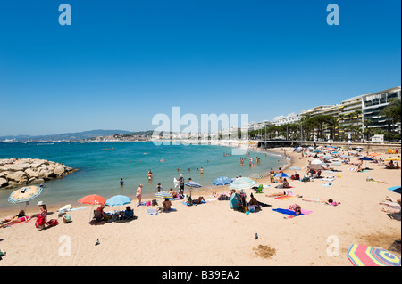 Plage de la Croisette (La Croisette), Cannes, Cote d'Azur, Provence, France Banque D'Images