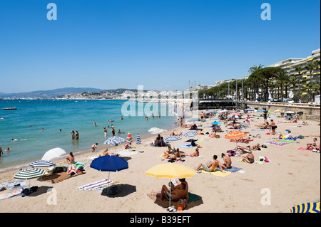 Plage de la Croisette (La Croisette), Cannes, Cote d'Azur, Provence, France Banque D'Images