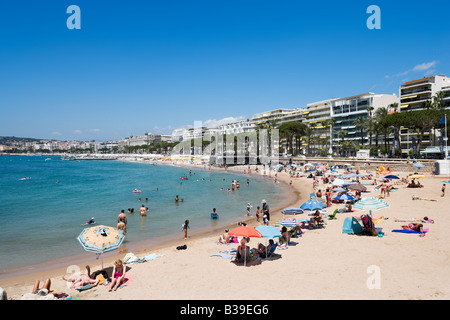 Plage de la Croisette (La Croisette), Cannes, Cote d'Azur, Provence, France Banque D'Images