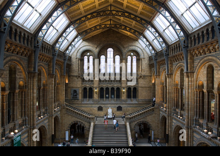 Hall principal Natural History Museum London Banque D'Images