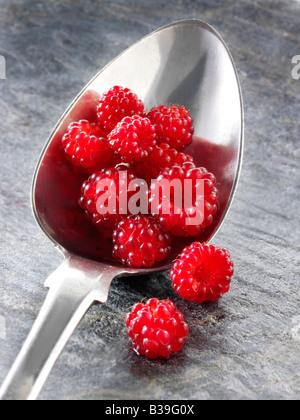 Rubus phoenicolasius organiques (Wineberry) - fruits japonais Banque D'Images