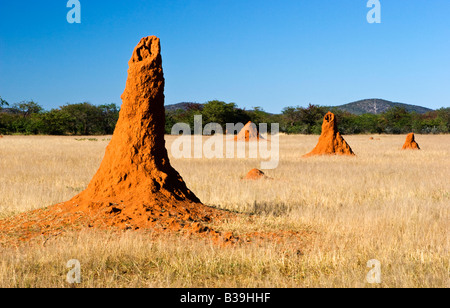 Un grand Mont Termite en Namibie Banque D'Images