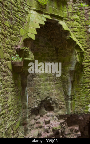 Vestiges d'une cheminée à l'intérieur de la grande tour de château Tretower Crickhowell Powys Pays de Galles UK GO qui date de la mi 12e siècle Banque D'Images