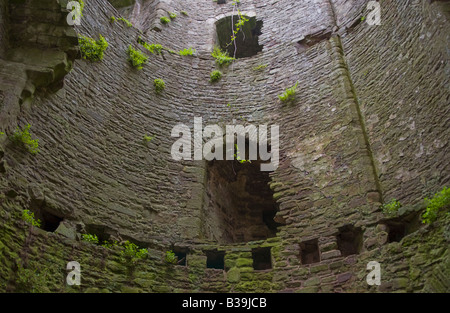 À l'intérieur de la grande tour du château à proximité de Tretower Crickhowell Powys Pays de Galles UK GO qui date de la mi 12e siècle Banque D'Images