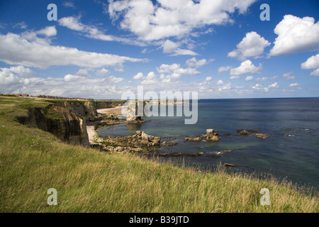 Marsden rochers sur la côte entre Sunderland et South Shields dans le nord-est de l'Angleterre. Banque D'Images