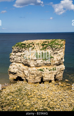 Marsden rochers sur la côte entre Sunderland et South Shields dans le nord-est de l'Angleterre. Banque D'Images