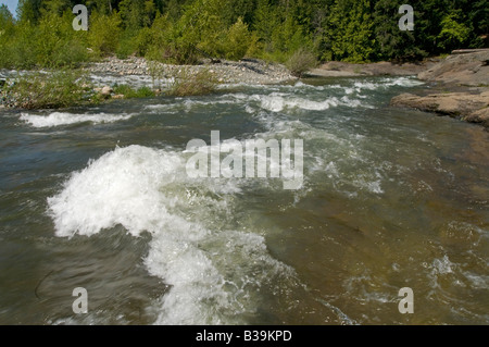 Les eaux rapides de la rivière Englishman Vancouver Island Parksville, Colombie-Britannique Canada Amérique du Nord Banque D'Images