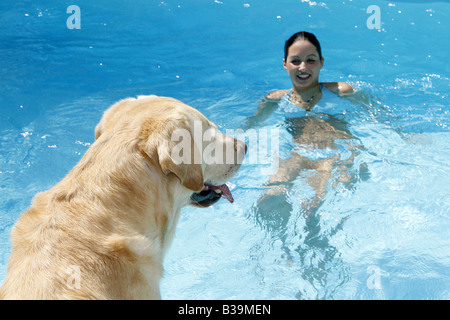 Labrador Retriever regarder young woman in pool Banque D'Images