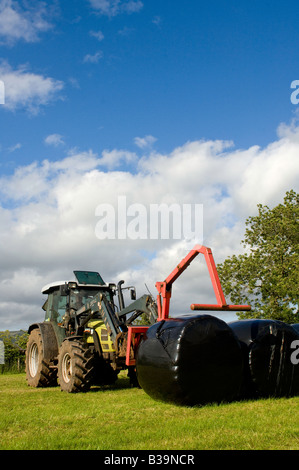 Avec chargeur tracteur Hurlimann ramasser gros ballots de fourrage ensilé enveloppé dans du film plastique noir pour empiler et store Cumbria Banque D'Images