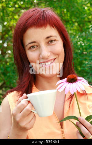 Infusion coneflowers violet Banque D'Images