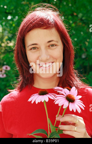 Coneflowers violet Banque D'Images