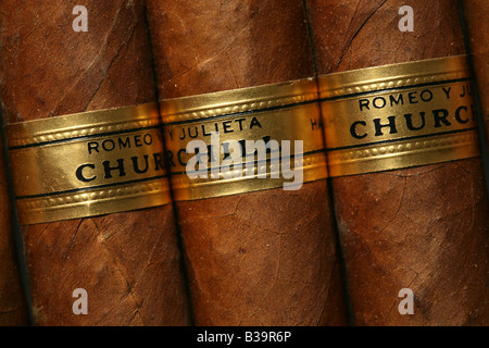 Fameux cigares cubains Romeo y Julieta (Roméo et Juliette) taille de Churchill Banque D'Images