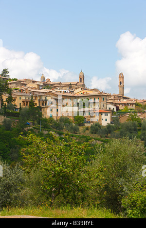 Montalcino, Toscane, Italie Banque D'Images