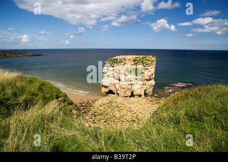 Marsden rochers sur la côte entre Sunderland et South Shields dans le nord-est de l'Angleterre. Banque D'Images