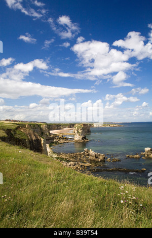 Marsden rochers sur la côte entre Sunderland et South Shields dans le nord-est de l'Angleterre. Banque D'Images