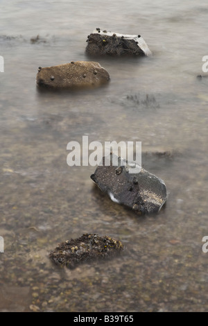 Clapotis de l'eau autour de roches sur une plage sur l'île de Lindisfarne (saints) sur la côte de Northumbrie, Northumberland, England Banque D'Images