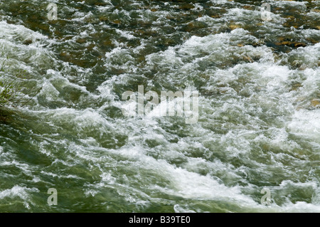 Les eaux rapides de la rivière Englishman Vancouver Island Parksville, Colombie-Britannique Canada Amérique du Nord Banque D'Images