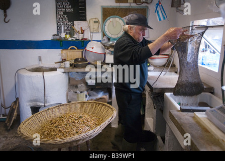 Famille Sellick Stolford, Bridgewater Bay, Somerset, dernier pêcheur de Mudhorse lavant la cuisson des prises dans un magasin de poissons. Angleterre Royaume-Uni. Années 2000 2009 HOMER SYKESS Banque D'Images