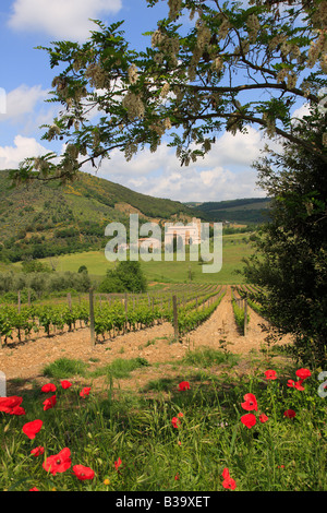 Monastère de Sant Antimo Abbazia, près de Montalcino, Toscane, Italie Banque D'Images