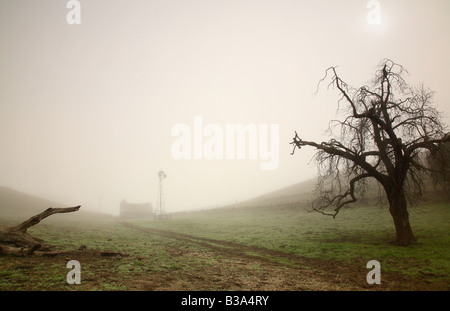Une route passe par un arbre et connectez-vous sur le chemin de la grange et moulin enshrouded avec brouillard. Banque D'Images