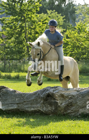 Girl jumping on cheval Haflinger selle sans Banque D'Images