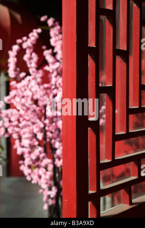 La Chine, Pékin, La Cité Interdite, les fleurs de cerisier Banque D'Images