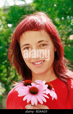 Coneflowers violet Banque D'Images