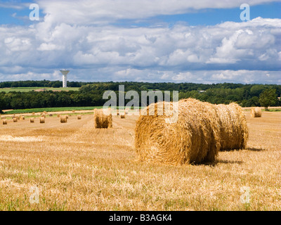 Paysage de campagne, Bretagne Morbihan, Bretagne, France Banque D'Images