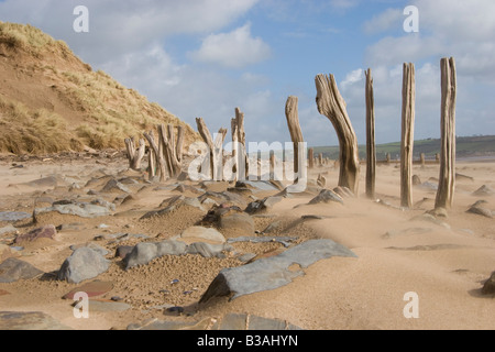 Plage de sable balayé par les vents, des rochers et les apparaux de ligne de clôture montrant l'érosion le long d'une plage dans le Devon UK Banque D'Images