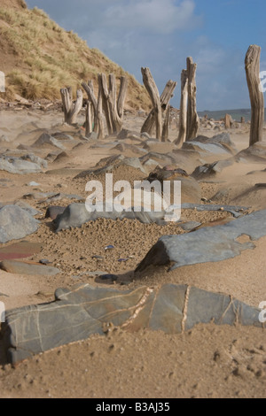 Windswept beach avec chasse-sable, rochers et les apparaux de ligne de clôture montrant l'érosion le long d'une plage dans le Devon UK Banque D'Images