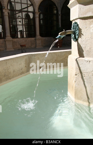 Serpent à emboîtement d'une fontaine au couvent de San Pablo (maintenant un hôtel) à Cuenca, Espagne. Banque D'Images