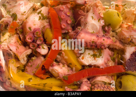 'A la Provençale' les pieuvres (Octopus macropus). Poulpes (Macropus) poulpe à la Provençale. Banque D'Images