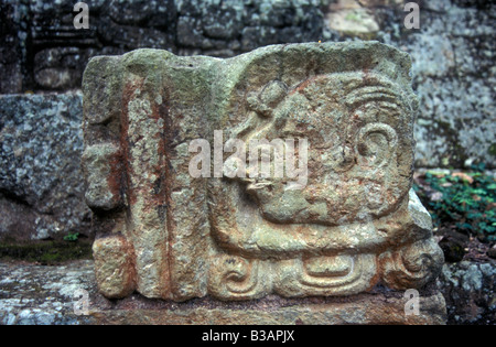 Glyphe maya au les ruines Maya de Copán, Honduras, Amérique Centrale Banque D'Images
