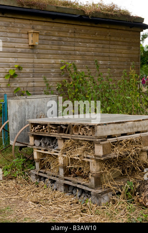 Les replis trou fait de vieux palettes en bois à l'arrière d'un abri de jardin pour les insectes à plus de l'hiver dans le Warwickshire Banque D'Images