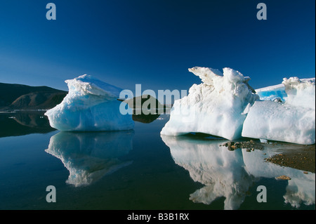 Pack de glace dans le fjord Alexandra, l'île d'Ellesmere, Nunavut, Canada Banque D'Images