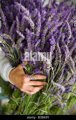 Asian woman holding bunch of lavender flowers Banque D'Images