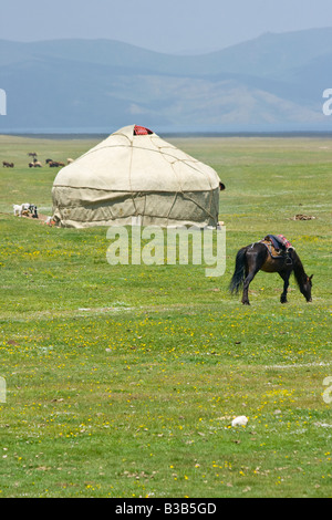 Les yourtes et les chevaux sur le lac Song Kul au Kirghizstan Banque D'Images