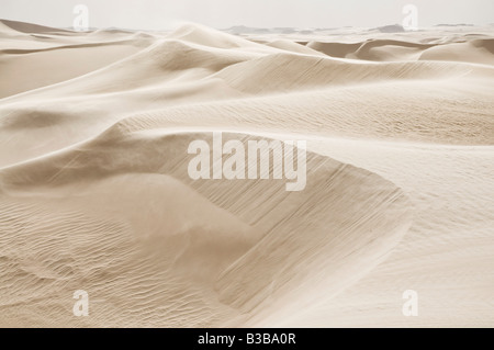 Dunes de sable, Désert de Libye, Egypte Banque D'Images