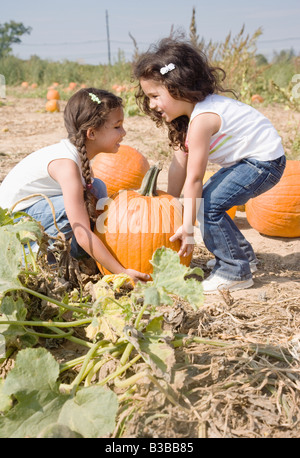 Ramasser des sœurs hispaniques pumpkin Banque D'Images