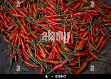 Chili Peppers, Hoi An, Quang Nam Province, Vietnam Banque D'Images