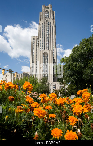 L'apprentissage de la cathédrale néo-gothique tardif Université de Pittsburgh en Pennsylvanie quartier Oakland Banque D'Images