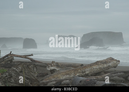 Bandon Beach sea stacks sur une rude journée, les journaux de bois flotté sur la plage Banque D'Images