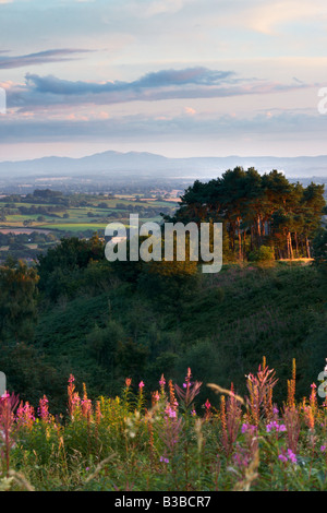 Vue vers les collines de Malvern Hills Clément, Worcestershire, Angleterre, RU Banque D'Images