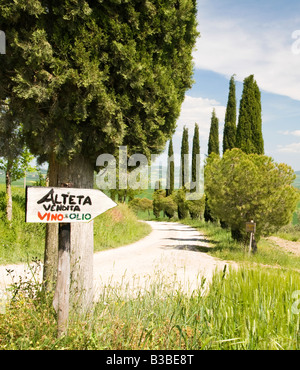 Paysage toscan traditionnel près de San Quirico, Valle de Orcia, Toscane, Italie Banque D'Images