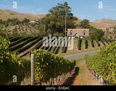 Gîte du vignoble Grange noire avec des rangées de vignes à Havelock North Hawkes Bay, Nouvelle-Zélande Banque D'Images