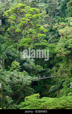Les touristes sur pont suspendu dans la forêt tropicale, le Costa Rica Banque D'Images